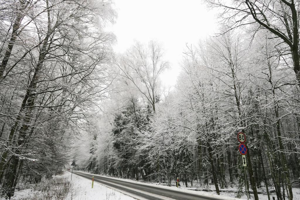 Gasthaus Cztery Pory Roku Białowieża Exterior foto
