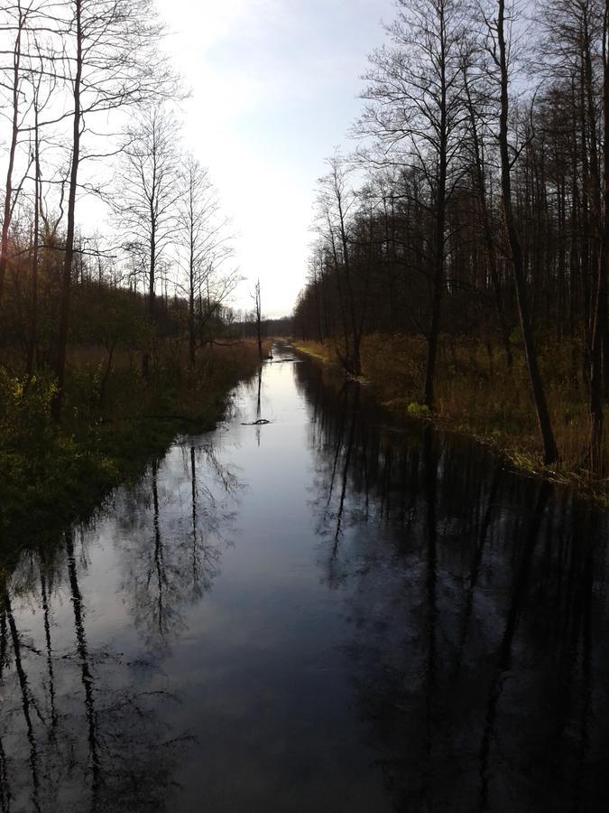 Gasthaus Cztery Pory Roku Białowieża Exterior foto